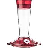 More Birds Ruby Hummingbird Feeder photo